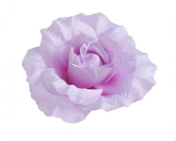 Růže - bílá - 10 cm