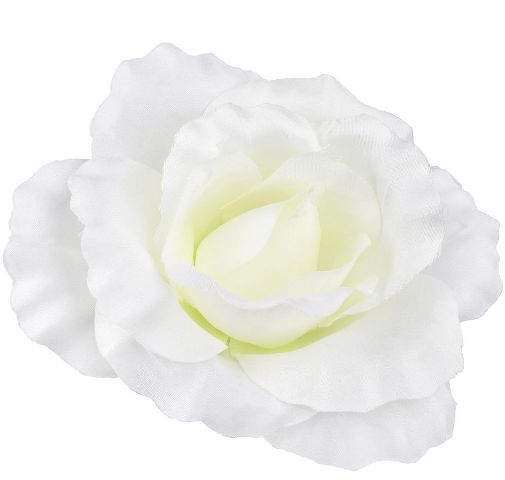 Růže vazbová velká 12 cm - bílá 