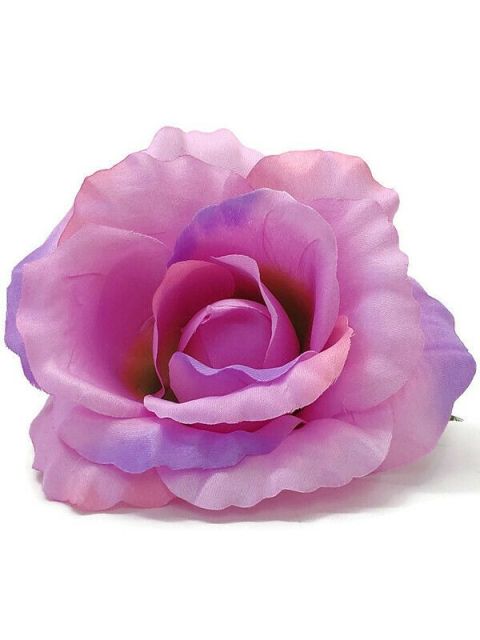 Růže vazbová velká 12 cm - růžovo-fialová