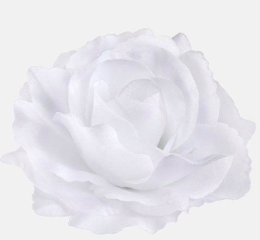 Růže vazbová 11 cm - bílá