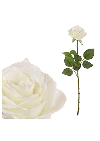 růže na dlouhém stonku - krémová - 52 cm