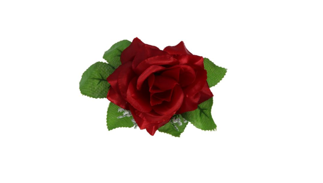 Růže vazbová s listem 11 cm - bordo