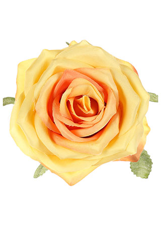 Růže - žluto-oranžová - 10 cm