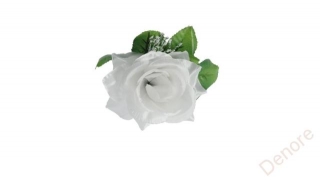 Růže vazbová s listem 11 cm - bílá 
