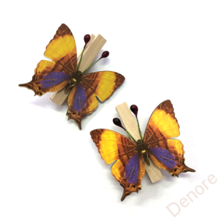 Dřevěné kolíčky, motýlci, 6 ks, 4,8 cm