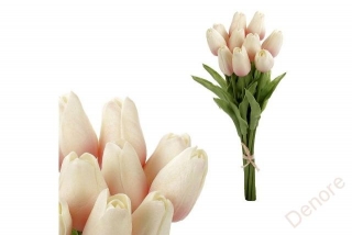 Tulipán pěnový - krémovo-růžová - ks