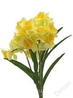 Narcis x7 - světle žlutá