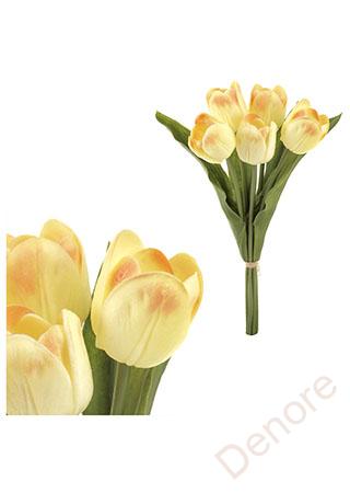 Mini tulipán, barva krémovo-lososová