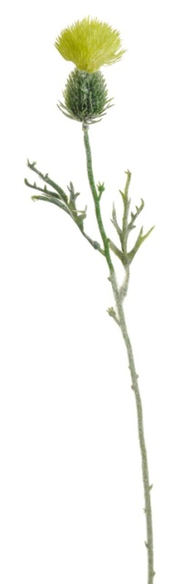 Bodlák - umělá květina 52 cm ZELENÁ