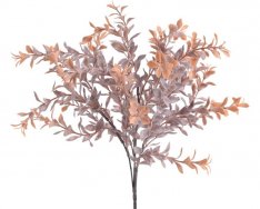 ruscus drobnolistý - oranžový