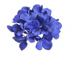 Hortenzie 14 cm - tmavě modrá