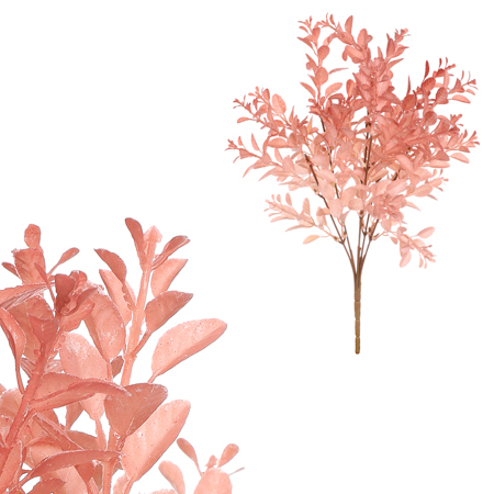 Buxus trs, staro-růžová barva