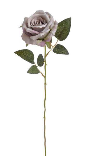 růže na dlouhém stonku - fialová vintage