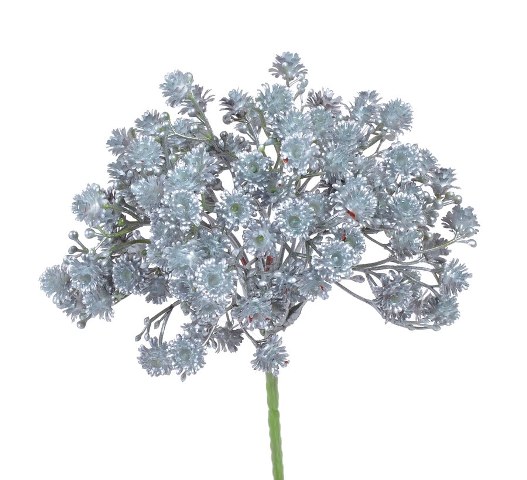 gypsophyla 21 cm - modrostříbrná