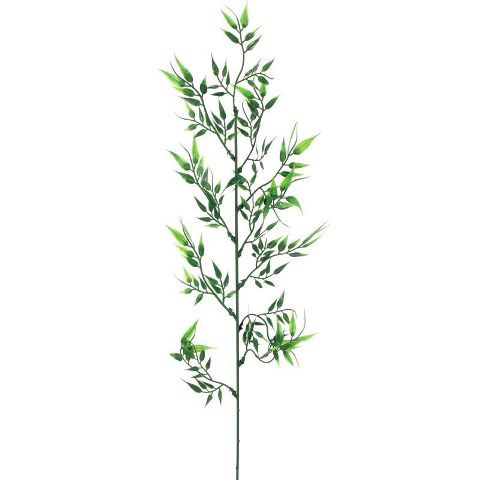Bambus - větev 60 cm