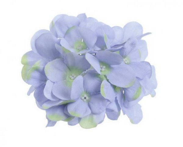 Hortenzie květ 14 cm modrá + zelená