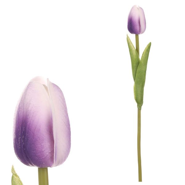 Tulipán pěnový -bílo-fialová - ks