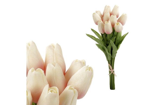 Tulipán pěnový - krémovo-růžová - ks