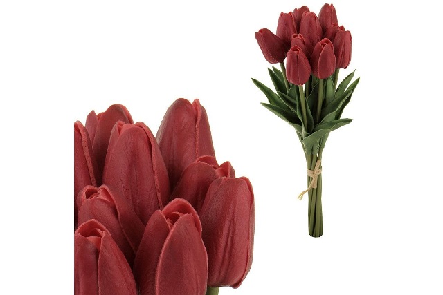 Tulipán pěnový - červená tmavá - ks
