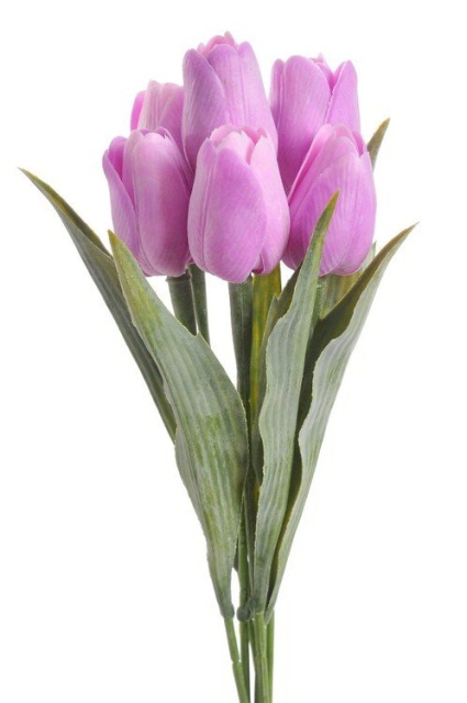 Tulipán s listem - fialovorůžová
