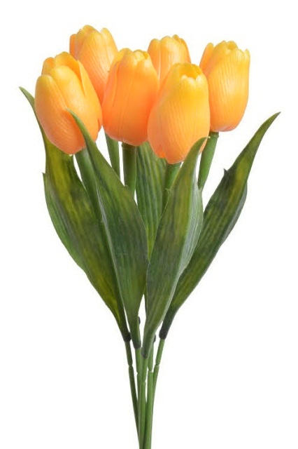 Tulipán s listem - žloutková