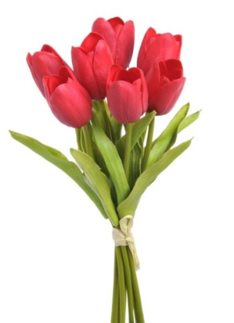 Tulipán pěnový - červená - ks