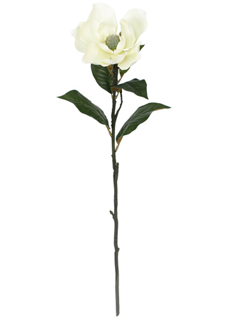Magnolie 85 cm bílá