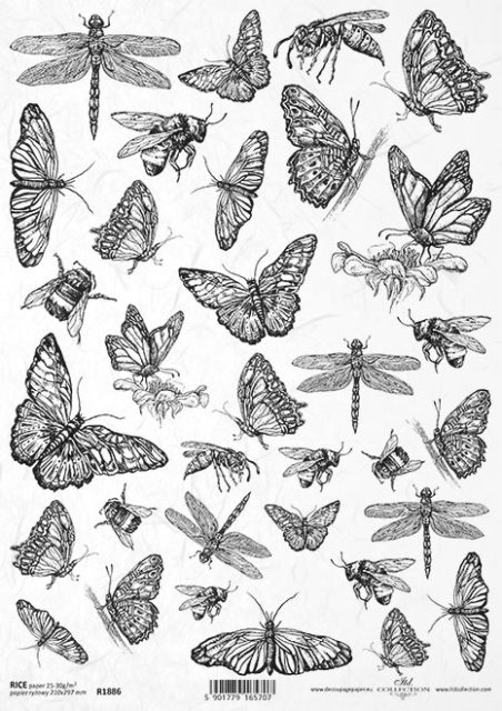 Rýžový papír A4 pro tvoření - hmyz, motýli