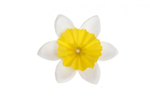 Narcis vazbový mini - bíložlutá