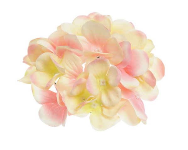 Hortenzie květ 14 cm sv. meruňková + růžová