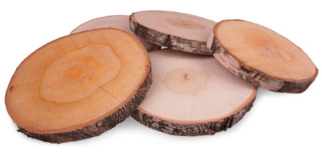 Plátek březového dřeva o průměru 20–24 cm, tloušťce 3 cm 