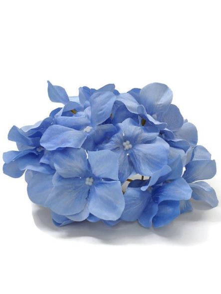 Hortenzie vazbová 16 cm - modrá