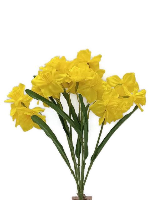Narcis x7 - žlutá