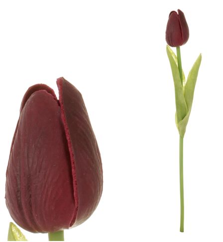 Tulipán pěnový - bordo - ks