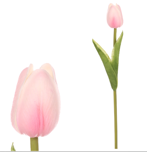 Tulipán pěnový - růžová - ks