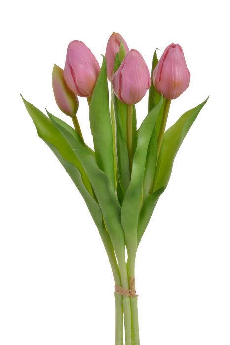 Tulipán pěnový - tm. růžová - ks