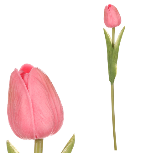 Tulipán pěnový - tm. růžová - ks