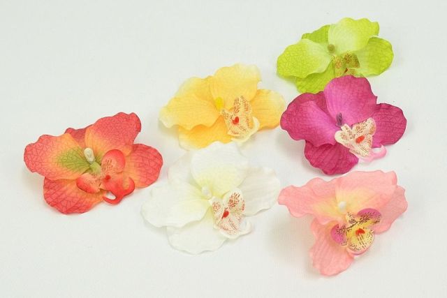 Orchidej 12 x 11 cm - mix barev 