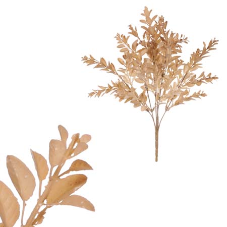 Buxus trs, lanýžová barva