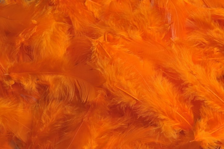 Ozdobné slepičí peří 10 g - oranžová
