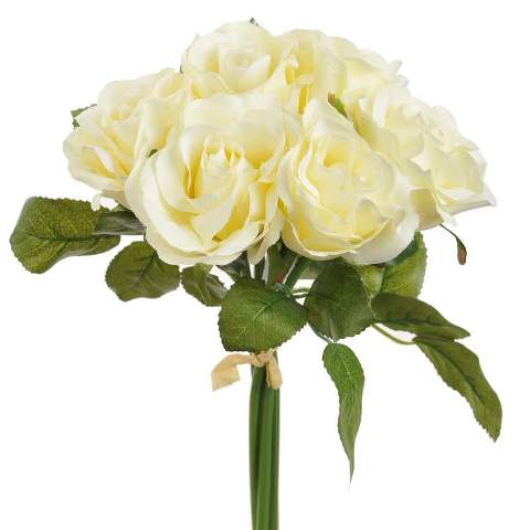 růže 7 cm (6 ks) - vanilková