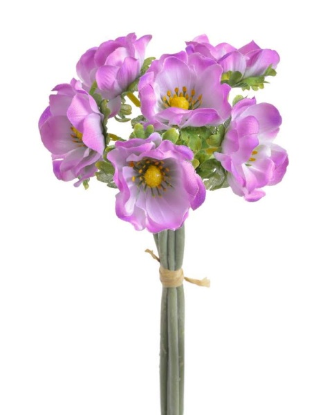 Anemonka - fialová