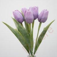 Tulipán s listem - fialová