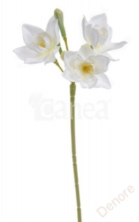Narcis 36 cm - bílá