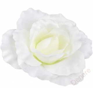 Růže vazbová velká 12 cm - bílá 