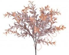 ruscus drobnolistý - oranžový