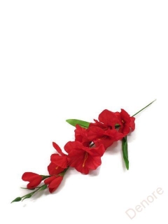 Gladiola - červená