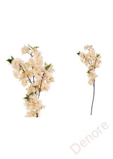Třešňové květy, barva smetanovo-meruňková