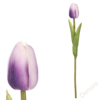 Tulipán pěnový -bílo-fialová - ks