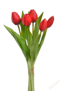 Tulipán pěnový - červená - ks